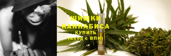 прущие грибы Абдулино