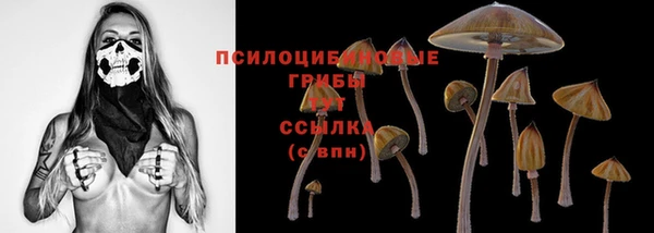 прущие грибы Абдулино