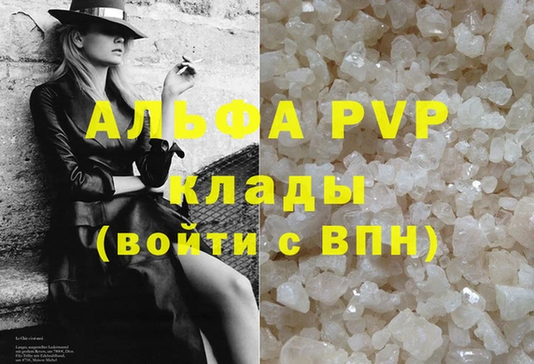 прущие грибы Абдулино