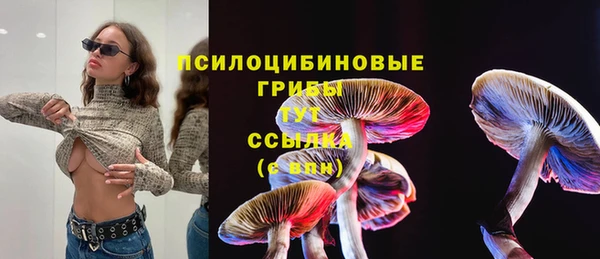 мескалин Алексин