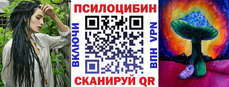 закладки  Покачи  Псилоцибиновые грибы Psilocybe 
